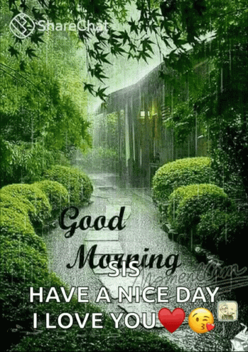 A Picture Of A Forest With The Words Good Morning Have A Nice Day I Love You . GIF