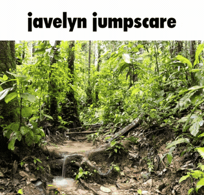 A Picture Of A Forest With The Words Javelyn Jumpscare GIF