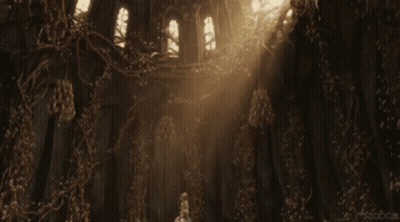 A Picture Of A Forest With The Year 2018 On The Bottom Left GIF
