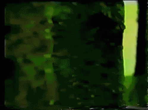 A Picture Of A Forest With Trees And Grass GIF