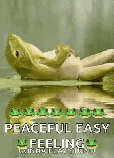 A Picture Of A Frog In A Pond With The Words Peaceful Easy Feeling Gonna Play Stupid GIF