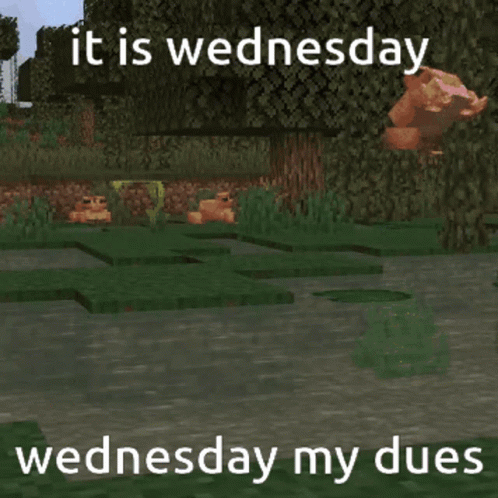 A Picture Of A Frog In A Swamp With The Caption It Is Wednesday Wednesday My Dues GIF