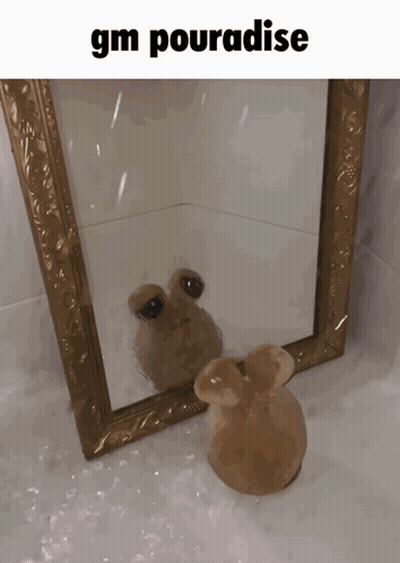 A Picture Of A Frog In Front Of A Mirror With The Words Gm Pourabise Below It GIF