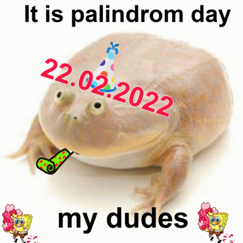 A Picture Of A Frog With A Party Hat That Says It Is Palindrome Day GIF