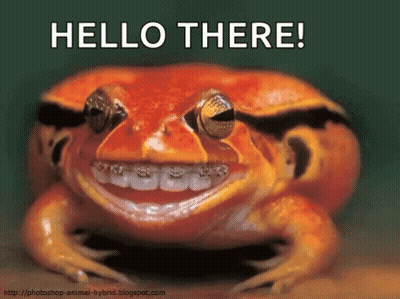 A Picture Of A Frog With Braces On Its Teeth And The Words Hello There GIF