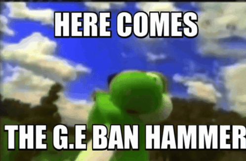 A Picture Of A Frog With The Words Here Comes The G.e Ban Hammer Below It GIF