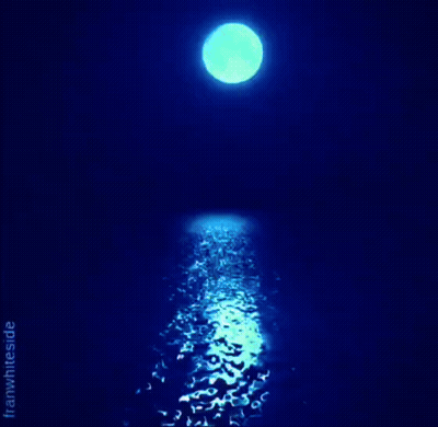 A Picture Of A Full Moon With The Words " Good Night " Below It GIF