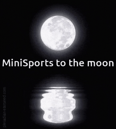 A Picture Of A Full Moon With The Words Minisports To The Moon Above It GIF