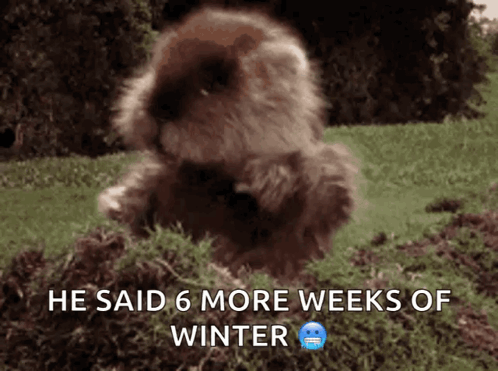 A Picture Of A Furry Animal With The Caption He Said 6 More Weeks Of Winter GIF