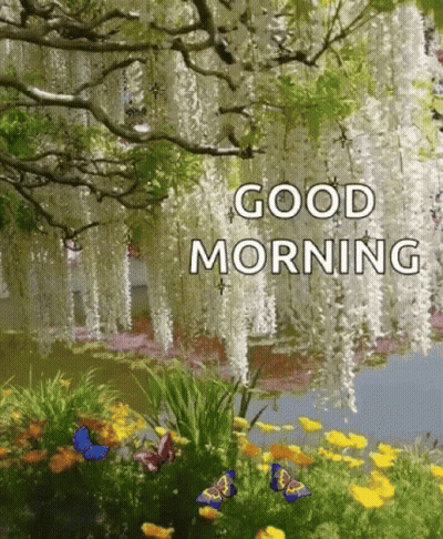 A Picture Of A Garden With Butterflies And Flowers And The Words `` Good Morning '' . GIF