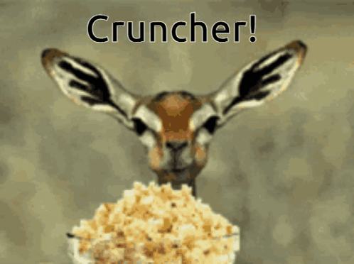 A Picture Of A Gazelle Holding A Bowl Of Popcorn With The Words " Cruncher " Above It GIF