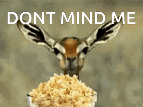 A Picture Of A Gazelle With A Bowl Of Popcorn And The Words " Dont Mind Me " GIF