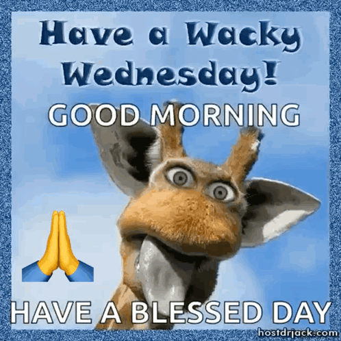 A Picture Of A Giraffe With The Words Have A Wacky Wednesday Good Morning Have A Blessed Day GIF
