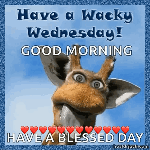 A Picture Of A Giraffe With The Words Have A Wacky Wednesday Good Morning Have A Blessed Day GIF