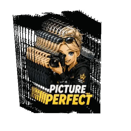 A Picture Of A Girl Holding A Camera With The Words Picture Perfect Above Her Sticker