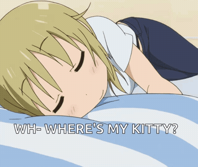 A Picture Of A Girl Laying On A Bed With The Words Wh-Where 'S My Kitty GIF