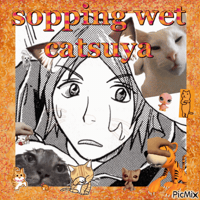 A Picture Of A Girl Surrounded By Cats With The Words Sopping Wet Catsuwa GIF