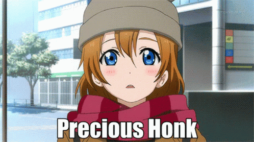 A Picture Of A Girl Wearing A Hat And Scarf With The Words Precious Honk Below Her GIF