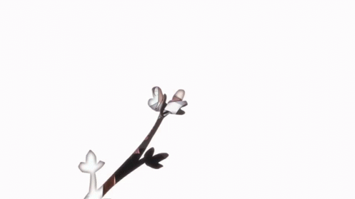 A Picture Of A Girl With A Flower In The Background And The Word You On The Bottom Right GIF