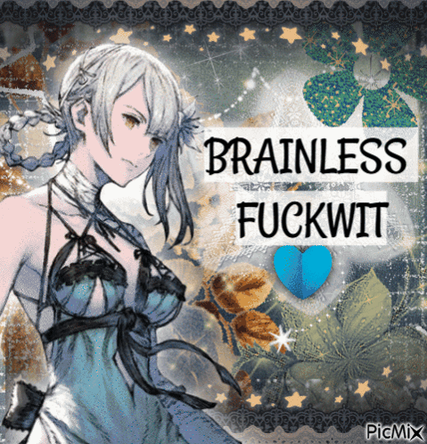 A Picture Of A Girl With Brainless Fuckwit Written On It GIF