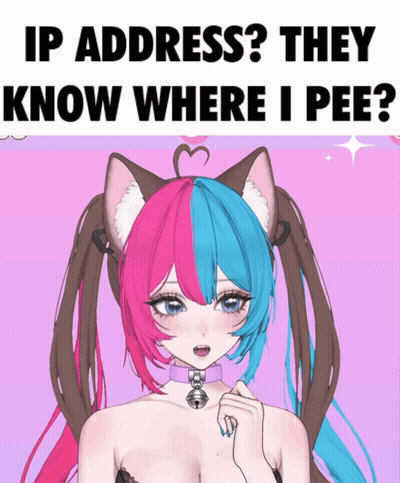 A Picture Of A Girl With Cat Ears And The Words " Ip Address They Know Where I Pee " Above Her GIF