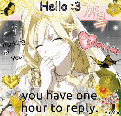 A Picture Of A Girl With The Words Hello 3 You Have One Hour To Reply On The Bottom GIF