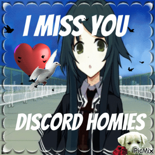 A Picture Of A Girl With The Words " I Miss You Discord Homies " On It GIF