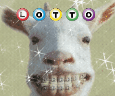A Picture Of A Goat With Braces And The Word Lotto Written Above It GIF