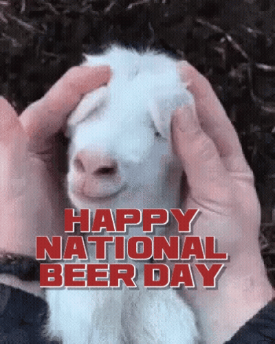 A Picture Of A Goat With The Words Happy National Beer Day Written Above It GIF