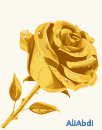 A Picture Of A Gold Rose With The Name Aliabdi On The Bottom GIF
