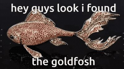 A Picture Of A Goldfish With The Words Hey Guys Look I Found The Goldfish GIF