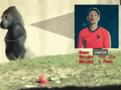 A Picture Of A Gorilla And A Man With The Name Jamie GIF