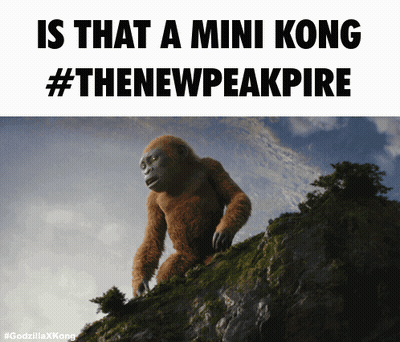 A Picture Of A Gorilla On A Hill With The Caption " Is That A Mini Kong " GIF