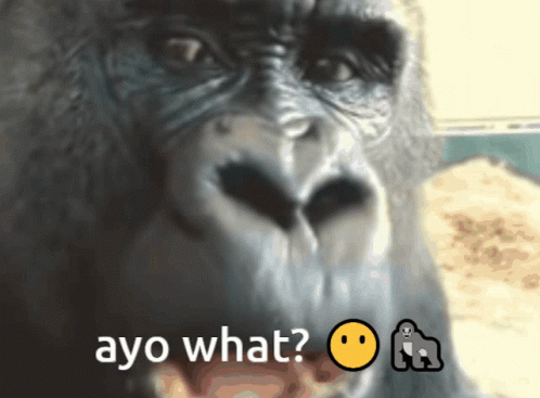 Gorilla With Ayo What Caption GIF