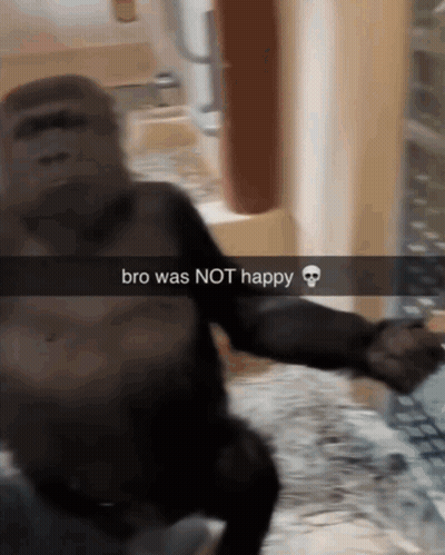 A Picture Of A Gorilla With The Words Bro Was Not Happy GIF