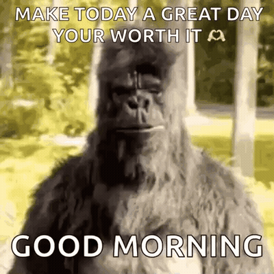 A Picture Of A Gorilla With The Words Make Today A Great Day Your Worth It Good Morning . GIF