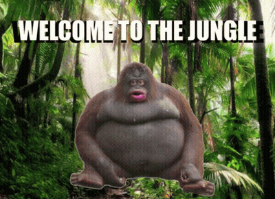 A Picture Of A Gorilla With The Words Welcome To The Jungle Written Above It GIF