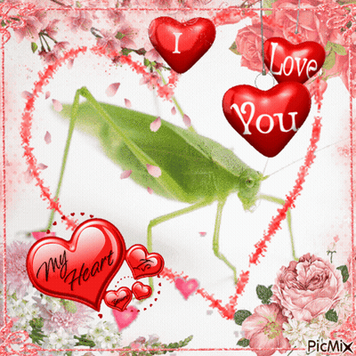 A Picture Of A Grasshopper Surrounded By Hearts That Say " I Love You " GIF