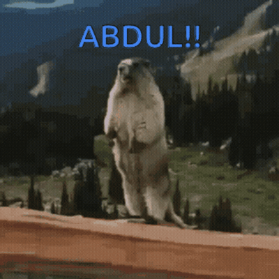 A Picture Of A Ground Squirrel Standing On Its Hind Legs With The Name Abdul Written Above It GIF