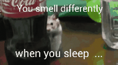 A Picture Of A Hamster Next To A Coca Cola Bottle That Says You Smell Differently When You Sleep GIF