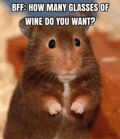 A Picture Of A Hamster With A Caption That Says Bff How Many Glasses Of Wine Do You Want GIF