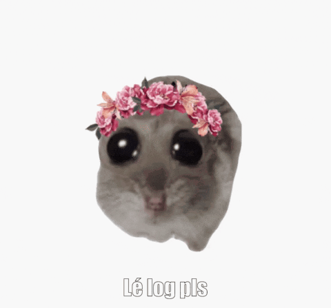 A Picture Of A Hamster With A Flower Crown On Its Head And The Words Le Log Pls Below It GIF