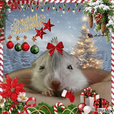 A Picture Of A Hamster With A Merry Christmas Greeting GIF