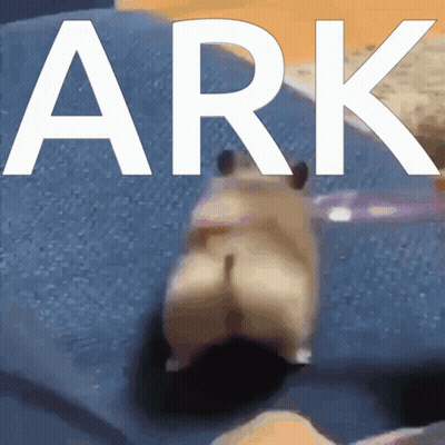 A Picture Of A Hamster With The Word Ark Written Above It GIF