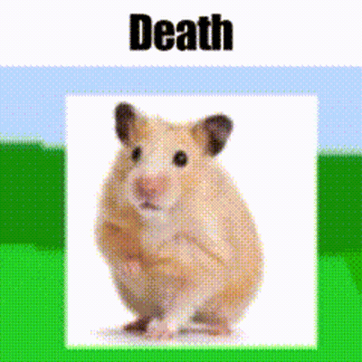 A Picture Of A Hamster With The Word Death Written Above It GIF