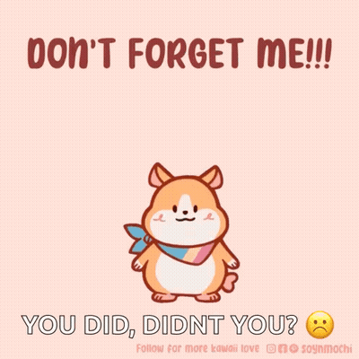 A Picture Of A Hamster With The Words Do N't Forget Me You Did Didn 'T You GIF