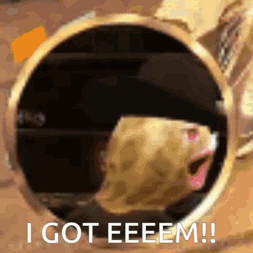 A Picture Of A Hamster With The Words I Got Eeeem GIF