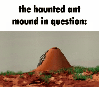 A Picture Of A Haunted Ant Mound In Question .. GIF