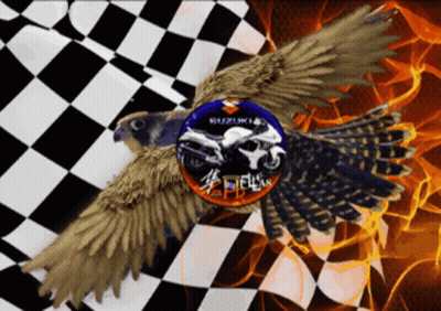 A Picture Of A Hawk With A Suzuki Motorcycle On It GIF