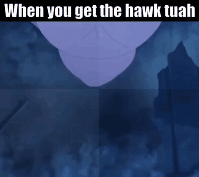 A Picture Of A Hawk With The Caption " When You Get The Hawk Tuah " GIF